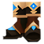 Botas de Shinobi en prácticas