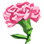 康乃馨糖花